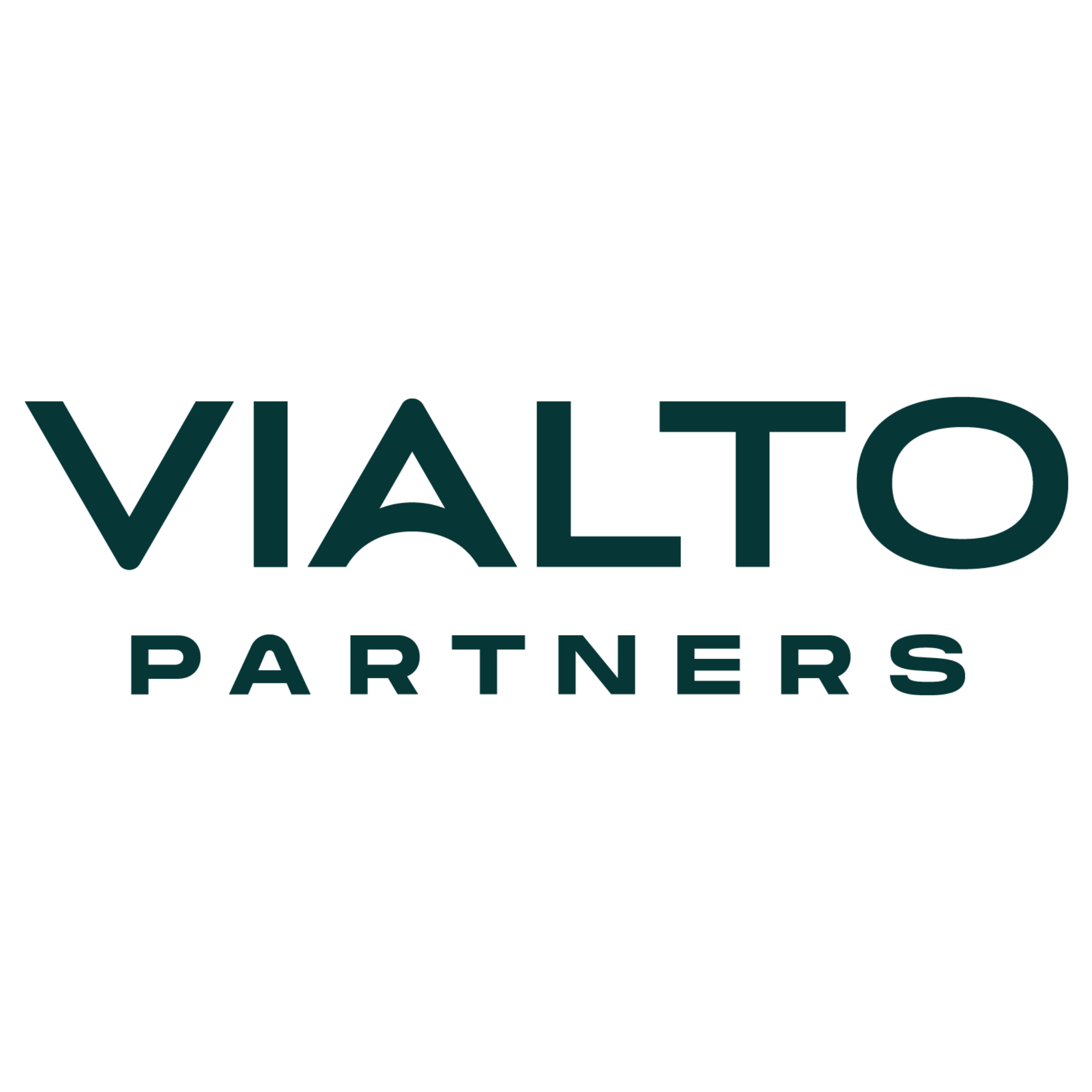 VIALTO Partners