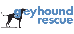 Greyhound Rescue